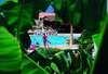 Tansel Beach Hotel 